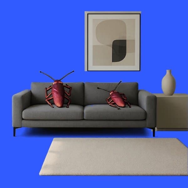 The Giant Realistic Cockroach Pillow Your Home Didn't Know It Needed